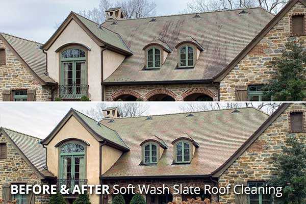 roof cleaning professionals louisville