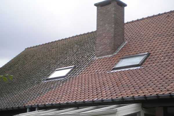 soft wash roof cleaning services