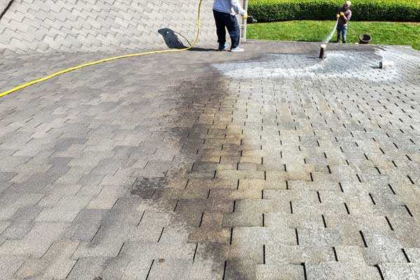shingla roof soft washing louisville