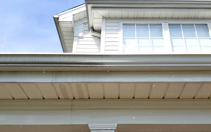 guttere soft washing louisville ky