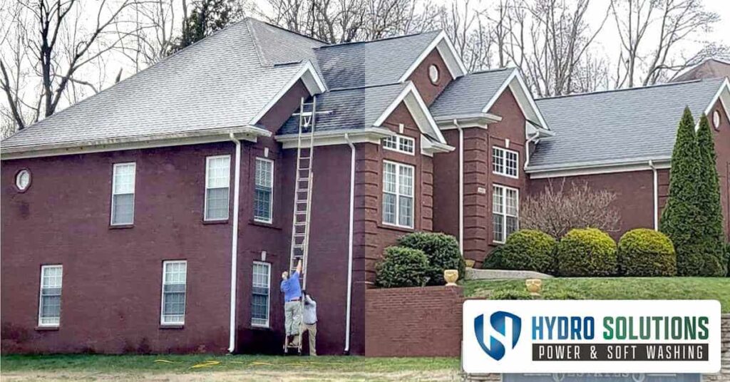Roof Cleaning Company